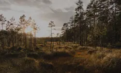 Klimataktion