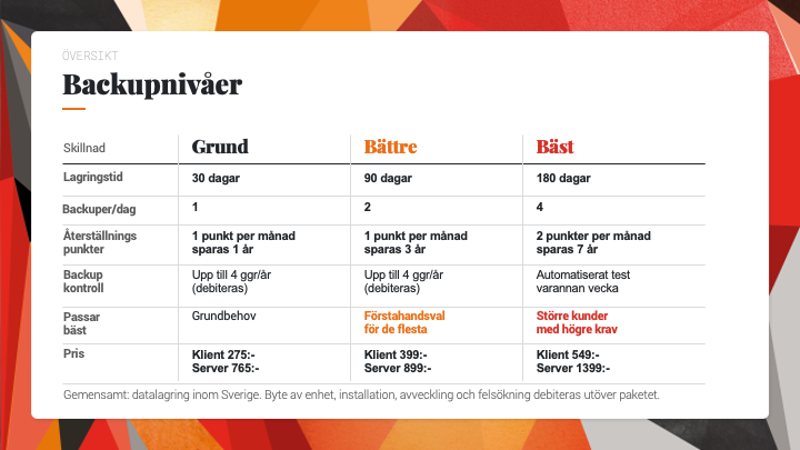 Backupnivåer översikt.png